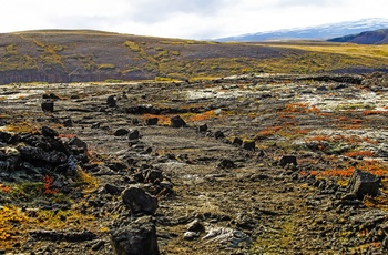 Hallmundarhraun-lavafeltet, Island