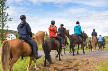 Rideture er populære i Island