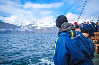 På hvalsafari fra Husavik i det nordlige Island