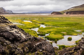 På vandretur i naturområdet Landmannalaugar i Island