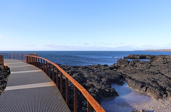 Gangbro til Brimketill på Reykjanes halvøen, Island