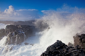 Bølgerne slår ind over Brimketill på Reykjanes halvøen, Island
