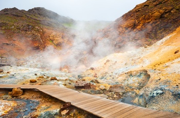 Seltún med boblende mudder og flotte farver, Island