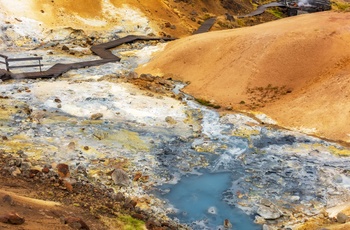 Seltún med boblende mudder og flotte farver, Island