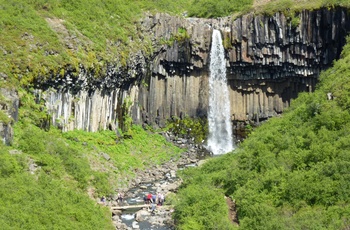 Svartifoss