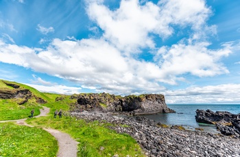 Vandresti langs kysten på Snæfellsnes halvøen, Island