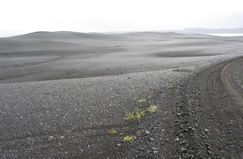 Højlandsvej ved Sprengisandur