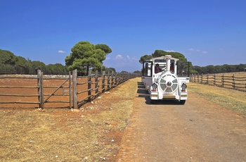 Turisttog i Brijuni nationalpark, Istrien i Kroatien