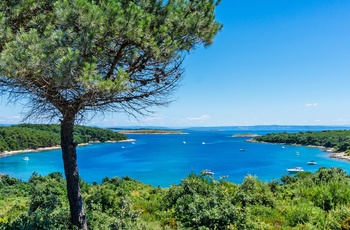 Én af de mange bugter i Kamenjak naturpark, Istrien i Kroatien