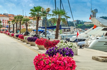 Havnen i kystbyen Porec i Istrien, Kroatien