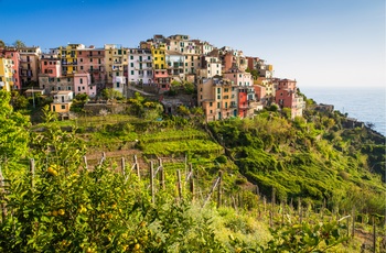 Byen Corniglia i Cinque Terre i Ligurien, Italien