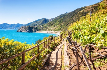 Vandresti langs kysten i Cinque Terre