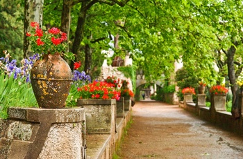 Smuk frodig have i Ravello på Amalfikysten, Italien