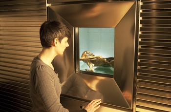 Kølecelle, Ismumien Ötzi på Arkæologimuseet i Bolzano, Sydtyrol, Italien © South Tyrol Museum of Archaeology - www.iceman.it