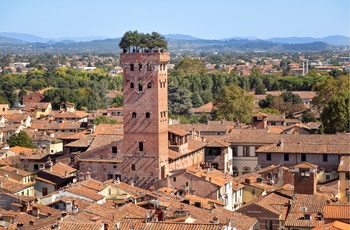 Tårnet Torre Guinigi i Lucca, Toscana, Midtitalien