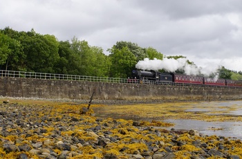 Jacobite Steam Train, måske bedre kendt som Harry Potter toget