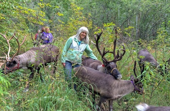 Jane med rensdyr og besøgende på Running Raindeer Ranch nær Fairbanks - Alaska