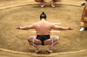 Sumobrydning i Japan