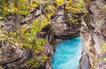 Maligne Canyon i Jasper National Park, Alberta i Canada