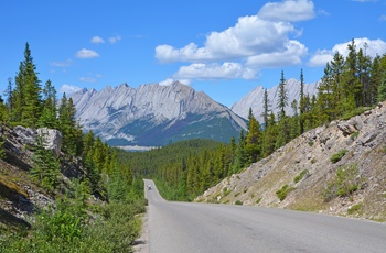Vejen mellem Medicine- og Maligne Lake i Jasper National Park, Alberta i Canada