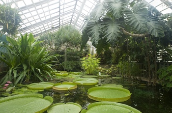 Botanisk have i byen Jena - Tyskland