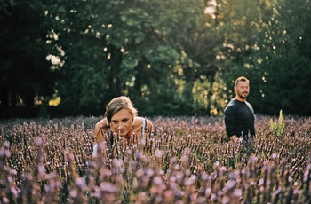 Jersey Lavender