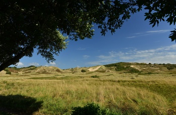 Jersey - Mielles San Dunes