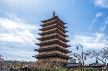 Jungdo Pagode i Gyeongju - Sydkorea