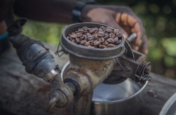Kaffebønner kværnes på lille kaffefarm - Uganda