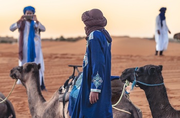 Kamelguider i ørkenområdet Erg Chebbi - Marokko