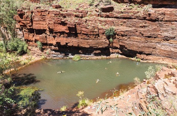 Turister bader ved Fortescue Falls i Karijini National Park, Western Australia