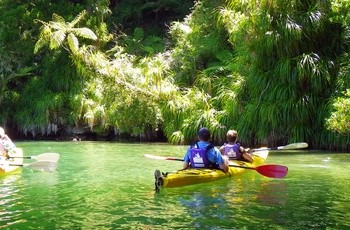 Kayaking Queens Charlotte Sound