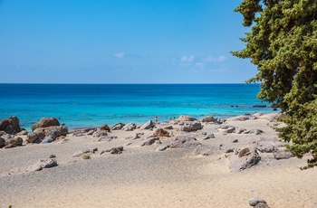 Kedrodasos naturstrand i det vestlige Kreta
