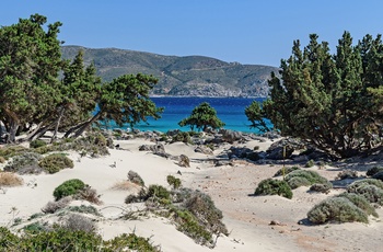 Kedrodasos naturstrand i det vestlige Kreta