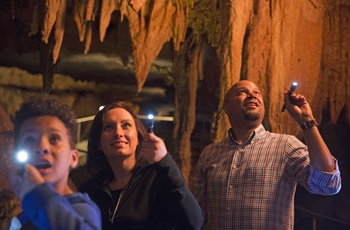 Kentycky Mammoth Cave National Park  - Foto: Kentucky Tourism