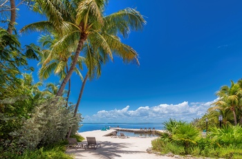 Lille sandstrand på Key Largo - Florida Keys i USA