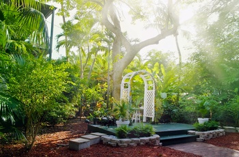 Haven i Ernest Hemmingways hjem i Key West, Florida