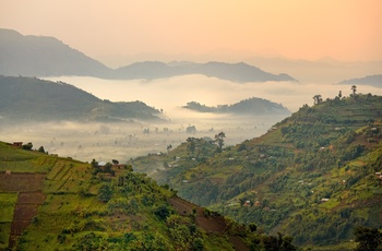 Kigezi højlandet “Afrikas Schweiz” i det  sydvestlige Uganda
