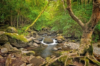 Killarney Nationalpark, Irland