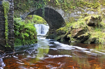 Killarney Nationalpark, Irland