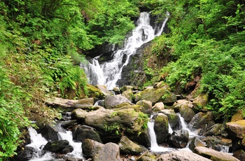 Torc vandfaldet i Killarney Nationalpark, Irland