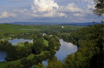 Kig over vinområdet Kitzingen i Franken