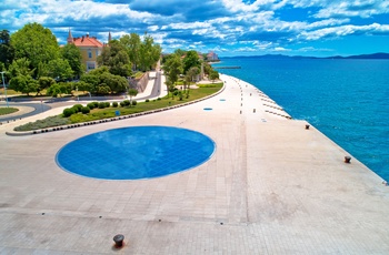 Havorglet i kystbyen Zadar - Kroatien