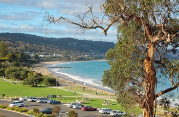 Udsigt mod strand i kystbyen Lorne i Victoria, Australien