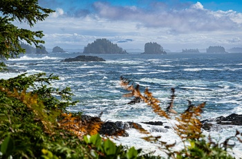 Kysten nær Ucluelet på Vancouver Island - Foto: Kayvan Mazhar, Unsplash