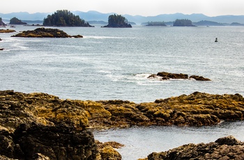 Kysten tæt på kystbyen Ucluelet på Vancouver Island - Canada