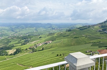 Udsigt til vinmarker fra toppen af La Morra i Piemonte - Italien