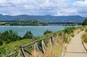 Cykel- og vandresti langs bredden af Lago di Bilancino i Toscana - Italien