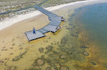 Lake Thetis uden for Cervantes er kendt for stromatolitter - Western Australia