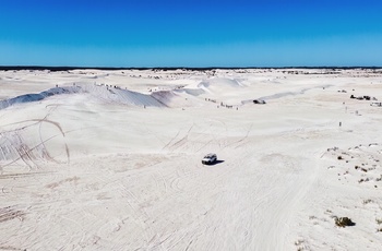 Sandklitterne Lancelin Sand Dunes - Western Australia